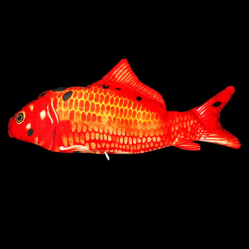 Red carp