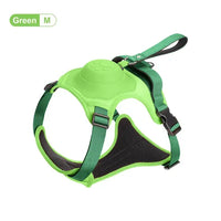 Flexible Retractable Leash for Medium-Large Dogs