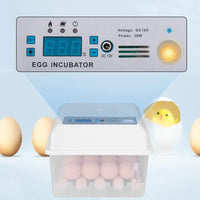 Efficient Incubation For Healthy Hatchlings Assured - Lusy Store LLC 