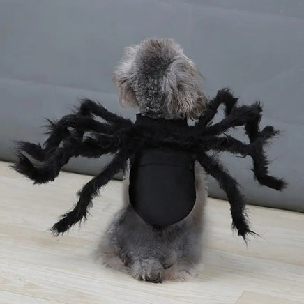 Halloween Spider Costume for Pets - Lusy Store LLC 