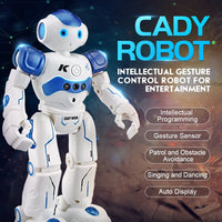 Robot Toy Gesture Control