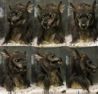 Scary Halloween Wolf Mask - Lusy Store LLC 