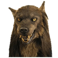 Scary Halloween Wolf Mask - Lusy Store LLC 