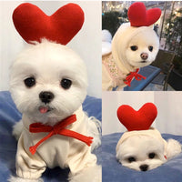 Cute Fruit Dog Clothes for Small Dogs Hoodies Warm Fleece Pet Clothing for Puppy Small Medium Dogs