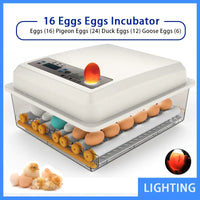 Efficient Incubation For Healthy Hatchlings Assured - Lusy Store LLC 