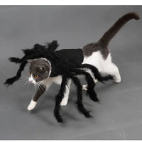 Halloween Spider Costume for Pets - Lusy Store LLC 