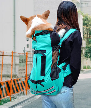 Lusy Store LLC Dog Carrier Pets