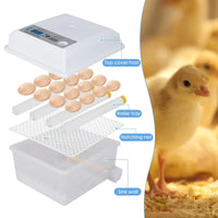 Efficient Incubation For Healthy Hatchlings Assured - Lusy Store LLC 