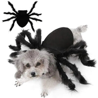 Halloween Spider Costume for Pets - Lusy Store LLC 